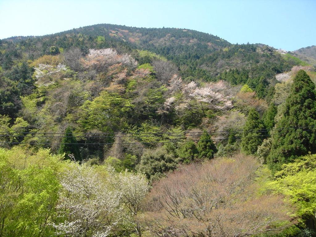 Kamata Hotel Yugawara Buitenkant foto