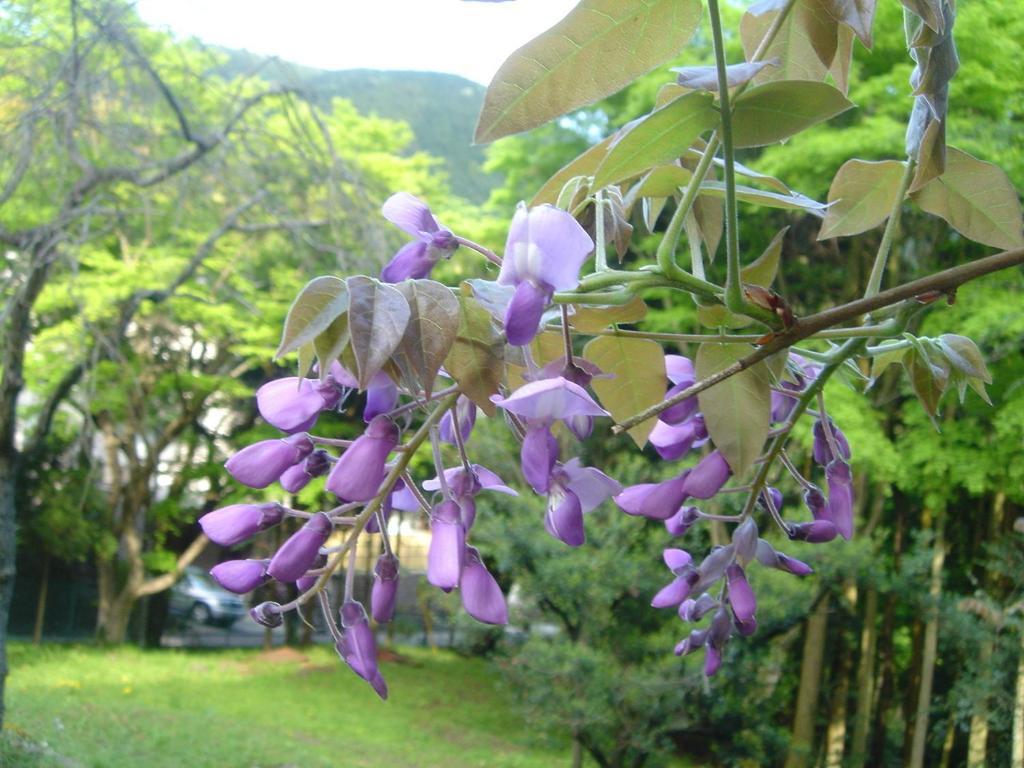 Kamata Hotel Yugawara Buitenkant foto