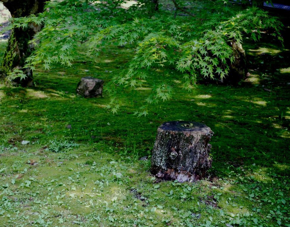 Kamata Hotel Yugawara Buitenkant foto